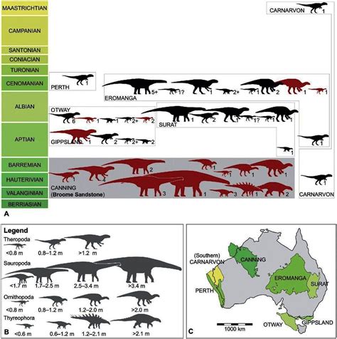 World's biggest dinosaur footprint found in 'Australia's Jurassic Park'