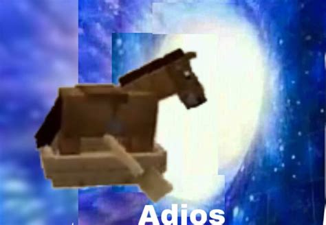 My own photoshop of the adios wormhole meme. | Funny video memes, Funny pictures, Memes