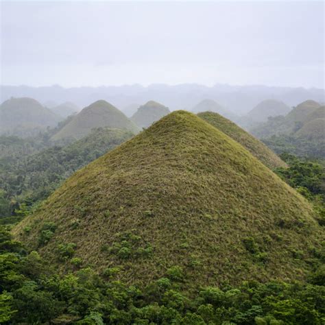 Tarsier Conservation Area (Bohol, Philippines) | Choose Your Adventure