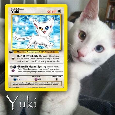 Artist Illustrates Pets Into Pokemon Cards And They Look Absolutely Adorable