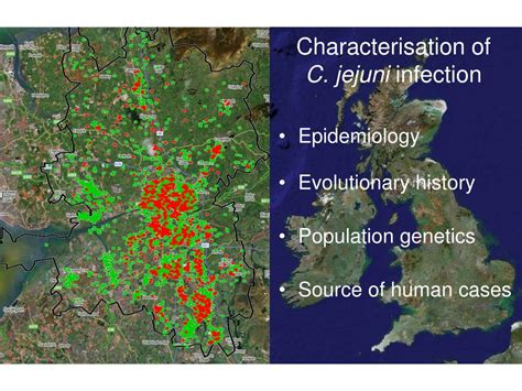 PPT - Campylobacter jejuni Epidemiology and Evolution PowerPoint ...