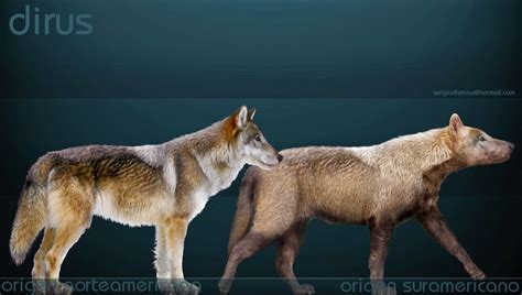 Pleistocene Megafauna Direwolves