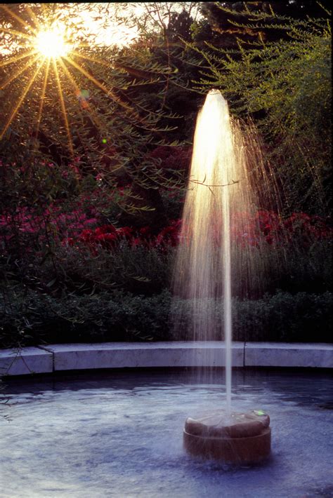 Longwood Gardens Fountain Show Schedule – Beautiful Flower Arrangements and Flower Gardens