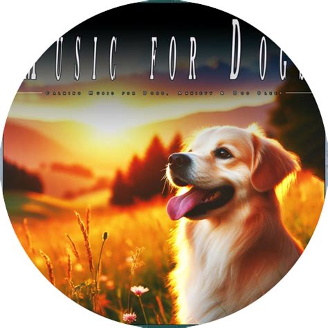 Calming Music for Dogs | iHeart