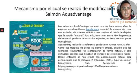 salmon aquadvantage - YouTube