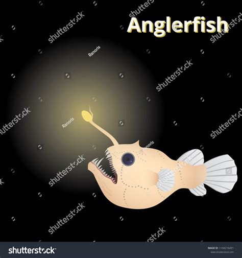 Anglerfish Monster Deep Sea Anglerfish Dwelling Stock Vector (Royalty ...