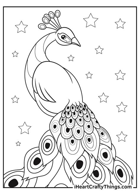 Peacock Coloring Pages For Kids