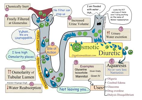 Osmotic Diuretics: aquaretics without natriuresis - Creative Med Doses