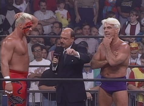 Wcw Sting 1995