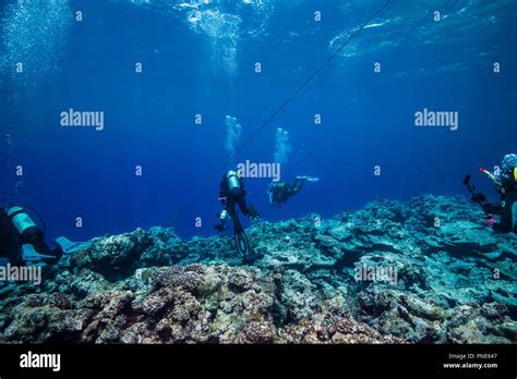 Scuba diving. Yap island Federated States of Micronesia Stock Photo - Alamy