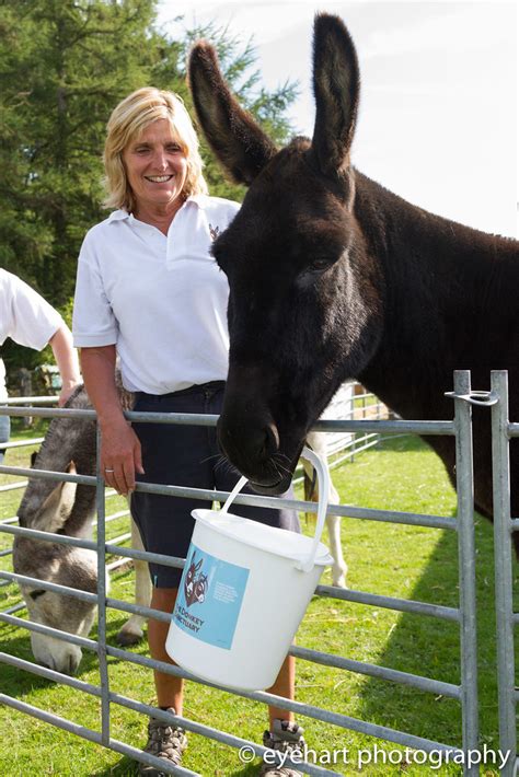 Donkey Sanctuary Leeds Summer Fair 2016 | Flickr