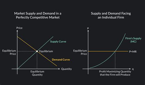 Perfect Competition: The Theory and Why It Matters | Outlier