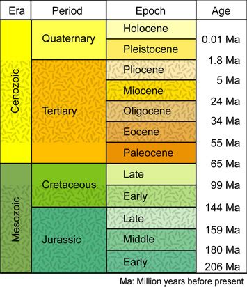 Geologic Time Scale Cenozoic