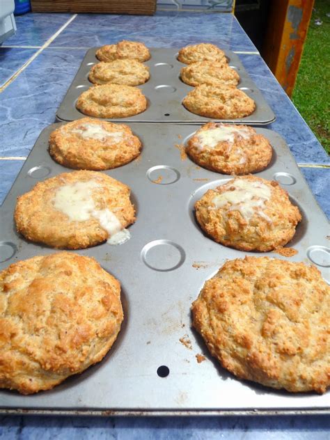 SPLENDID LOW-CARBING BY JENNIFER ELOFF: ARTISAN HAMBURGER BUNS (IMPROVED)