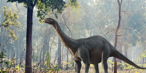 9 Beefy Facts About The Brontosaurus - The Fact Site