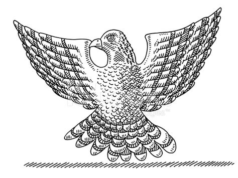 Falcon Bird Spread Wings Drawing Stock Photo | Royalty-Free | FreeImages