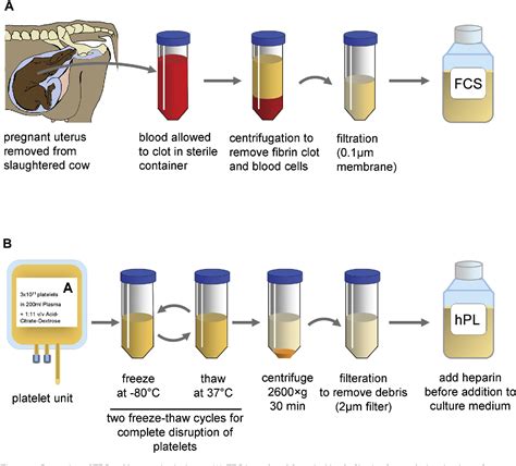 Evaluation of human platelet lysate versus fetal bovine serum for culture of mesenchymal stromal ...