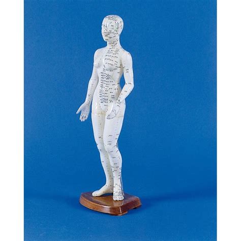 Chinese Acupuncture Figure, Female | Health and Care