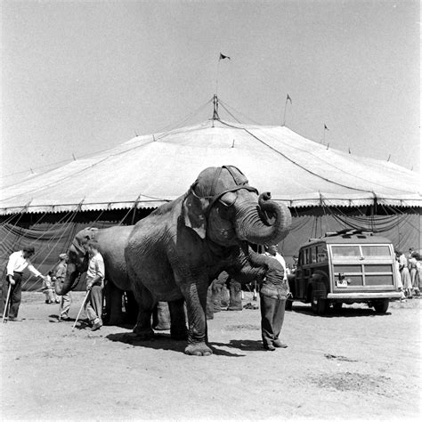 Ringling Brothers Circus: Behind the Scenes, Under the Big Top, 1949 | Time