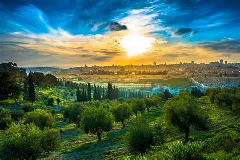 El monte de los Olivos, conoce su historia - Unidos x Israel