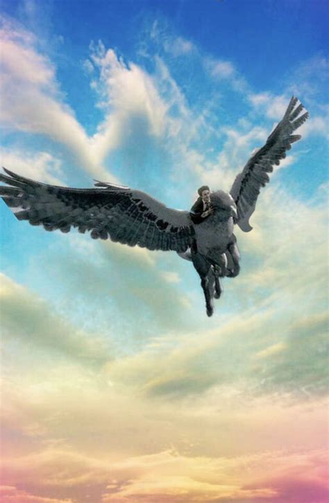 🔥 [30+] Buckbeak Wallpapers | WallpaperSafari