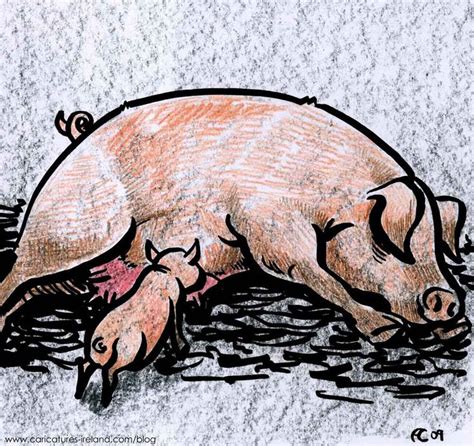 Pig Cartoon Pig cartoon. A cartoon of a pig (sow) lying down with piglet suckling. Image may be ...