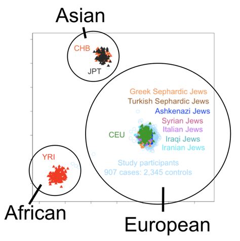 Understanding Ashkenazi Jewish Ancestry & Genetics for Your Health - 23andMe Blog