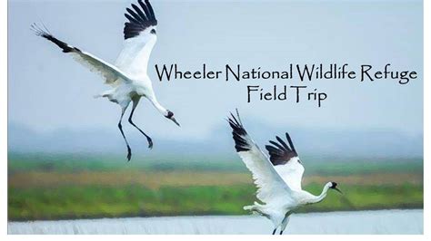 Wheeler National Wildlife Refuge Field Trip | Alapark