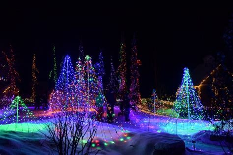 Gardens Aglow: Then & Now | Coastal Maine Botanical Gardens