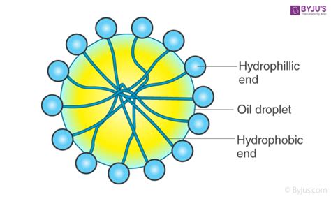 Emulsion - Meaning, Types of Emulsion, Properties, Examples