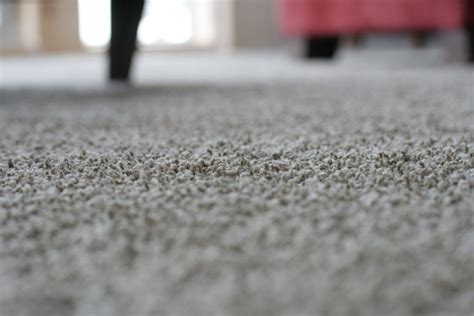 3 Carpet Vacuuming Tips You May Not Have Thought About Before - Mummy Fever