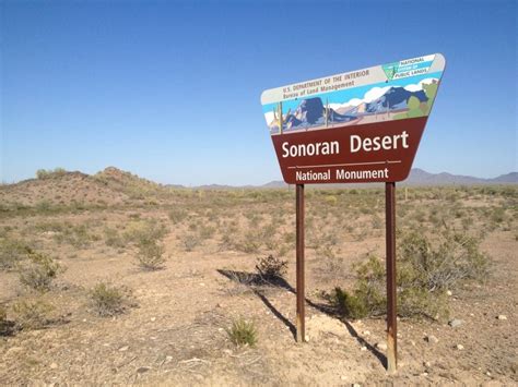 Sonoran Desert National Monument | National monuments, Sonoran desert, Monument