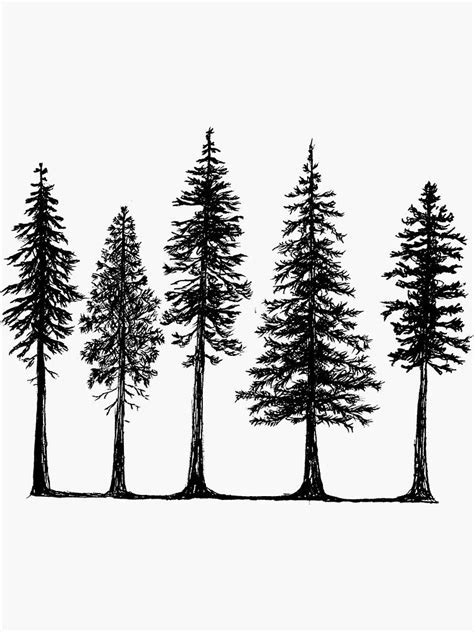 Pines Sticker by CarsonSloas | Tree silhouette tattoo, Silhouette tattoos, Pine tree art