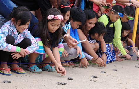 LOOK: New batch of 'pawikan' hatchlings released | SubicNewsLink