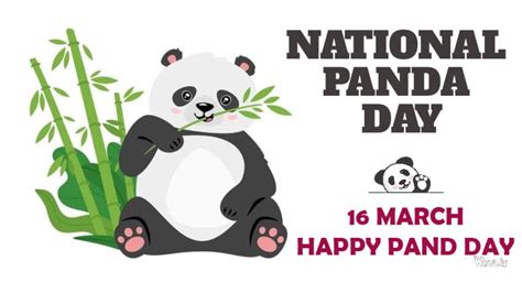 National Panda Day Pictures , Best Panda Mobile Wallpaper