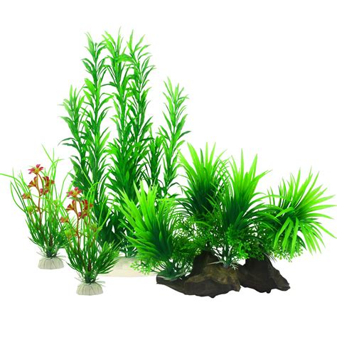 Oceanic Plants Decor