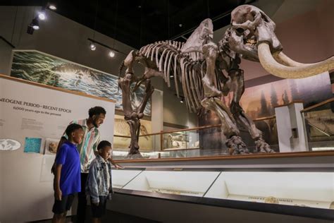 Museum of Science & History Reviews | U.S. News Travel