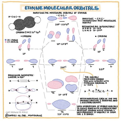 Molecular Orbital Diagram of Ethyne : Organic Chemistry Educational Study Guide | Organic ...