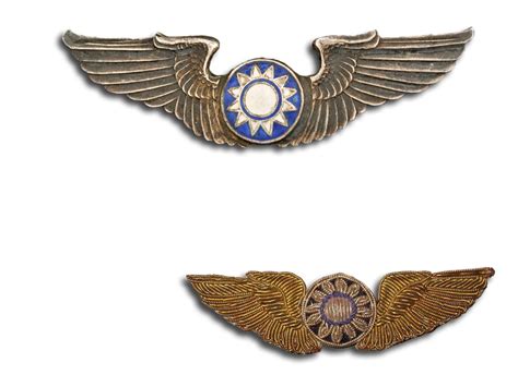 Pilot Badge - TracesOfWar.com