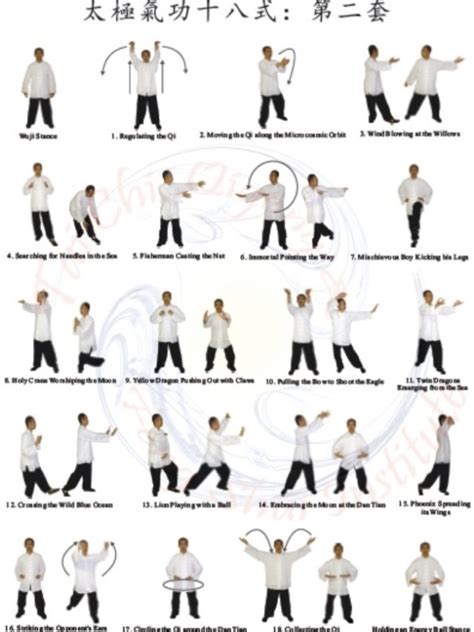 Tai Chi Qigong Shibashi-Set 2 Poster - Tai Chi, Qigong & Feng Shui ...