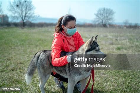 Woman Wearing A Protective Mask Is Walking Alone With A Dog Outdoors ...