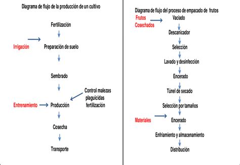 Ejemplo de Diagramas de flujo de un proceso productivo de un cultivo y | Download Scientific Diagram