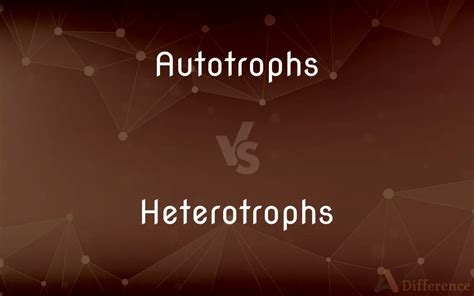 Autotrophs vs. Heterotrophs — What’s the Difference?