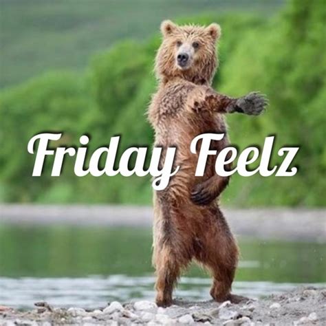 Stream rBeatz Radio | Listen to Friday Feelz - Dancing Bear playlist online for free on SoundCloud