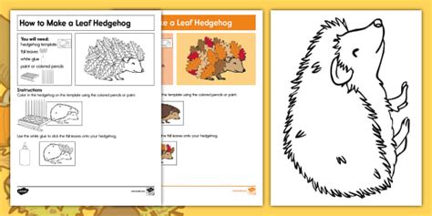 Leaf Hedgehog Craft | Printable Fall Activity | Twinkl