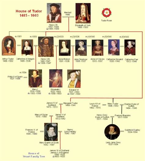 Todor family tree | Family tree, Tudor, European history