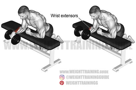 Dumbbell one-arm reverse wrist curl instructions and video