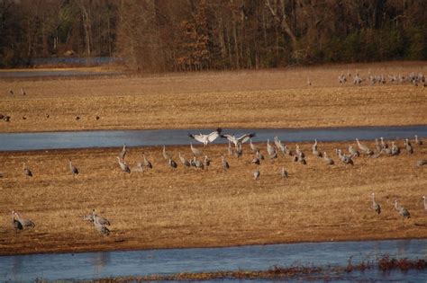 Wheeler National Wildlife Refuge | Flickr