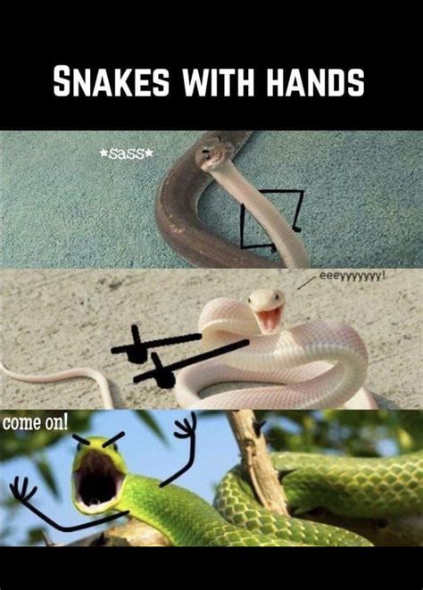 Snakes with hands anybody? : r/eyeremoval