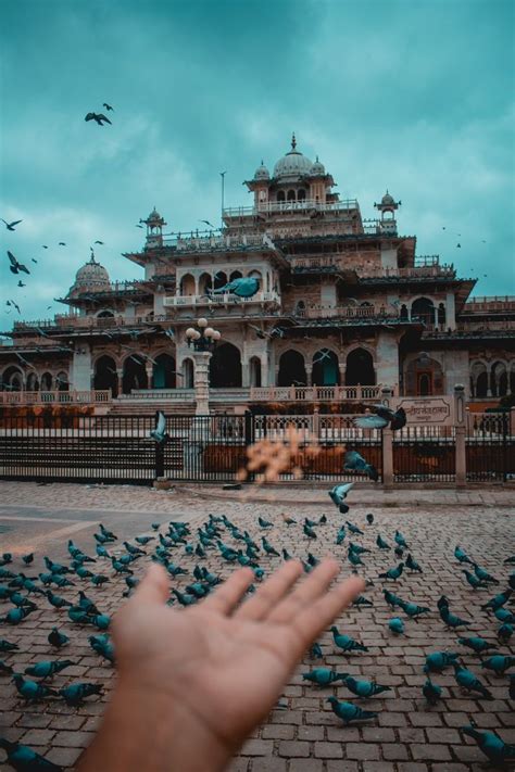 Albert Hall Jaipur | Travel photography, Travel photography inspiration, Adventure travel explore